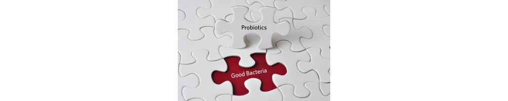 Probiotikumok