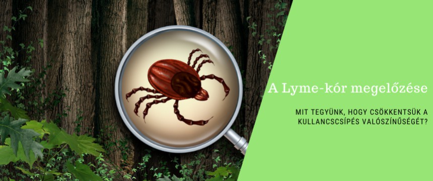 A Lyme-kór megelőzése